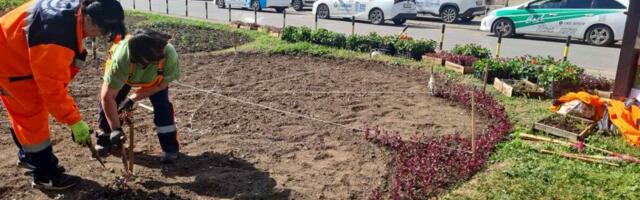 Reparacija mobilijara i uređenje zelenih površina