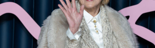 ŠERON STOUN više ne izgleda ovako: Bila pristalica prirodnog starenja - sad je ni najverniji fanovi ne prepoznaju (FOTO)