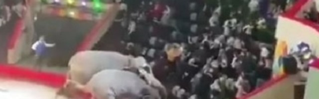 Dramatične cirkuske scene! Slonovi se potukli pred publikom, svi su izleteli u strahu i plaču i potpuno prestravljeni