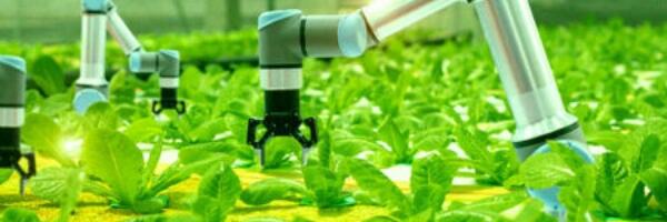 Automatizacija ubija radnu snagu i postepeno zamenjuje čoveka u proizvodnji