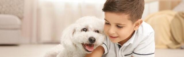 Najbolji psi tragači i spasioci! Hrabri i dobroćudni, a i lako se obučavaju (FOTO)