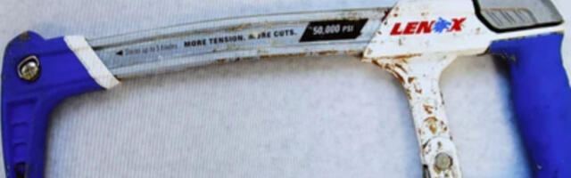 Че­кић, се­ки­ра и те­сте­ра пред по­ро­том