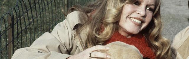 Brižit Bardo napustila film na vrhuncu slave da bi se borila protiv krzna, lova i testiranja na životinjama