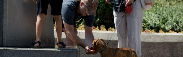 OVE GODINE NAM PRETI RAZORNI FENOMEN, NAJJAČI IKADA! Ako se ova prognoza obistini... ALARMI ZVONE NA UZBUNU!