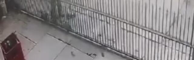 "DETE MI IMA TRAUME I PLAČE, DOBIĆETE 10 NOVIH MAČIĆA!" Objavljena je jeziva prepiska sa majkom dečaka koji je u Nišu SLOMIO KIČMU I REBRA mačetu!