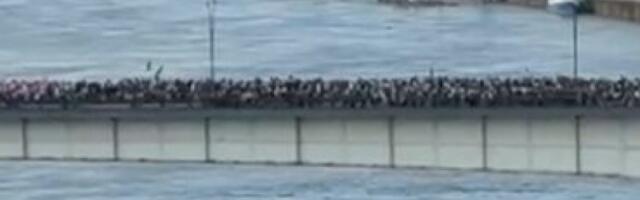 POGLED IZ BEOGRADA NA VODI: Kolone ljudi idu na skup Ne damo Srbiju! (VIDEO)