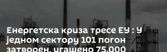 Енергетска криза тресе ЕУ : У једном сектору 101 погон затворен, угашено 75.000 радних места