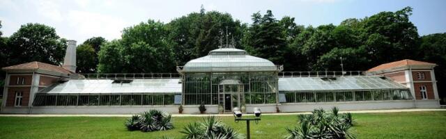 Zelena oaza u srcu grada: Čarolija Botaničke bašte „Jevremovac“
