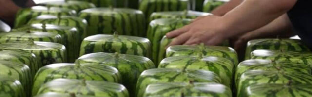 Овог лета у Јапану популарне коцкасте лубенице