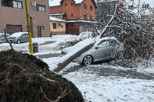 Пожега, тежак снег оборио дрво на аутомобил