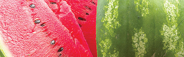 Njihov uticaj na zdravlje je ogroman, ne izbacujte ih