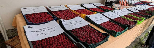 Srbija prošle godine izvezla upola manje zamrznutih malina nego 2019.