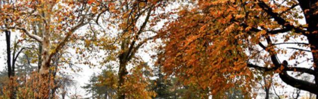 Облачно, понегде са слабом кишом, температура до 12 степени