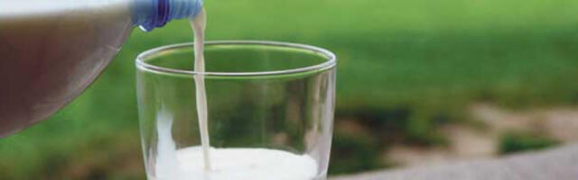 Кина уводи царине до 43 одсто на поједине млечне производе из ЕУ