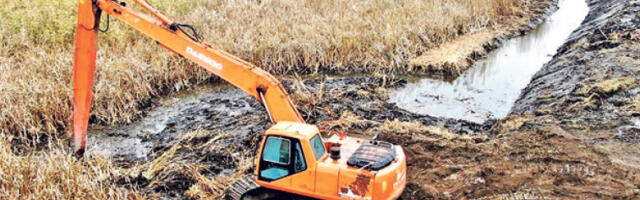 Борба за станиште угрожене умбре