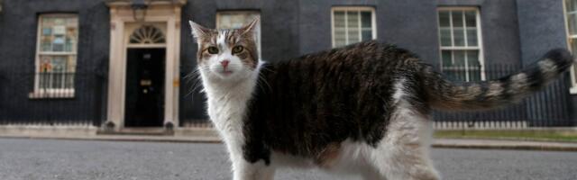 Mačor Lari ukrao šou ispred Dauning strita: Premijer Kir Starmer nije imao šanse