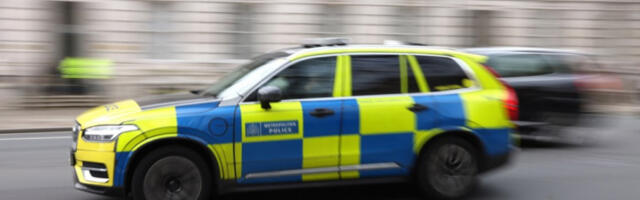 Осуђен лопов који је украо торбу са Фабержеовим јајетом