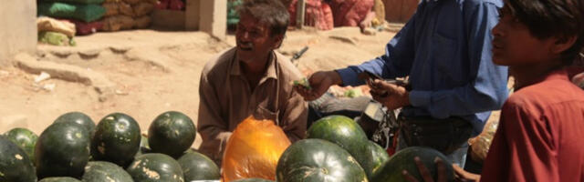 Свету прети катастрофа у пољопривреди због кризе у Ормуском мореузу