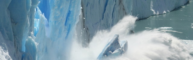 Pronađeno očuvano telo vuka staro 56.000 godina