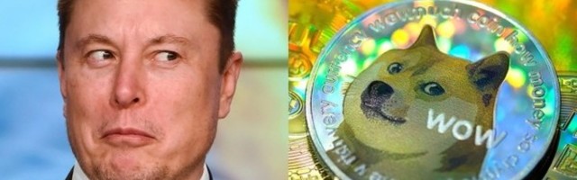 Koosnivač dogekoina uprkos svemu tvrdi da je Mask obična ljiga