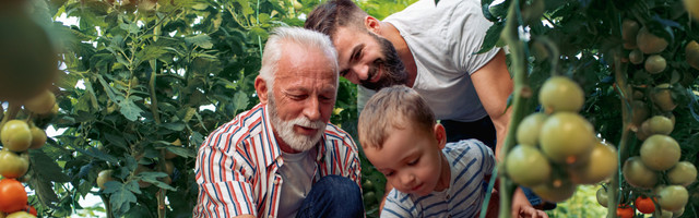 Nejasna cena državnih usluga – zašto je važna razlika između poreza i doprinosa?
