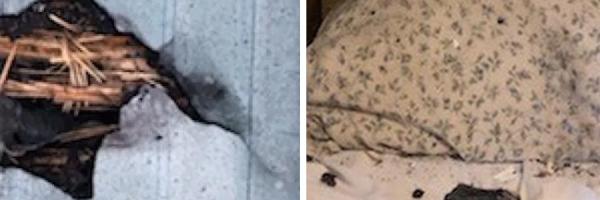 Žena umalo nastradala nakon što joj je meteorit probio krov