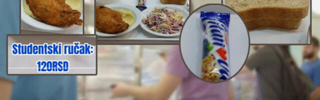 Šta sve studenti jedu za 120 dinara? Od gibanice, proje, musake do pečenja - za Božićni post posebna ponuda