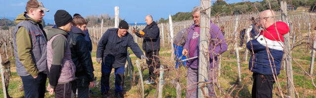Пожешки средњошколци у виноградима Хиландара