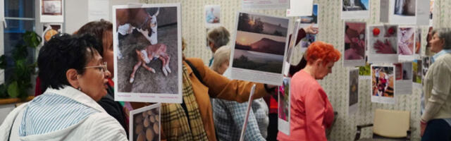 „Ружичасти кадар - бис”: живот очима жена које су победиле рак дојке