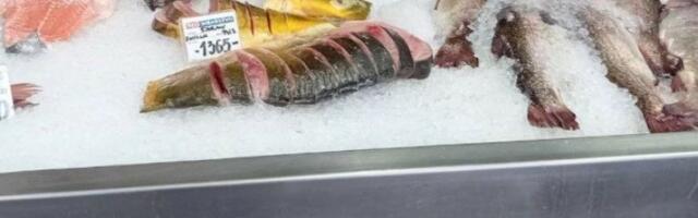 HITNO SE POVLAČI OVA RIBA IZ PRODAJE! Moguće je trovanje, odmah je bacite!