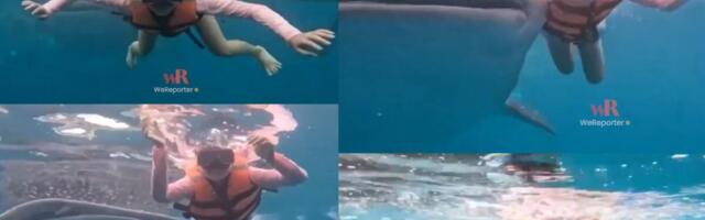 TURISTKINJA ZARONILA U MORE, A ONDA JE NAIŠLA ONA! Šok snimak obišao svet, njena reakcija SVE govori! (VIDEO)