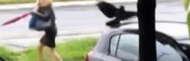 "Pala sam, a one su nastavile da napadaju" Devojka preživela horor u Beogradu: Ovako treba postupiti u slučaju napada