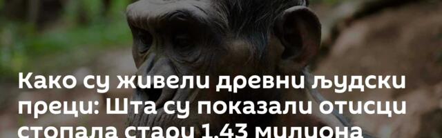 Како су живели древни људски преци: Шта су показали отисци стопала стари 1,43 милиона година /фото/