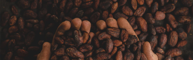 Sir, jogurt i čokolada su dobri za vas