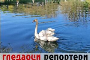 Гледаоци репортери (7. фебруар 2023)