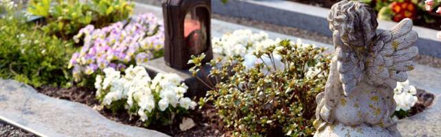 Muškarac iz okoline Zrenjanina porušio i oštetio 16 nadgrobnih spomenika u Ečki