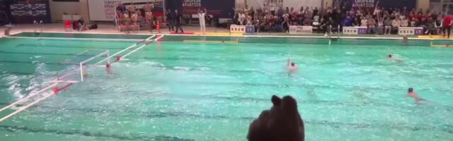 Majstorija Viktora Rašovića protiv Novog Beograda