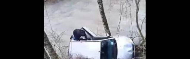 Auto završio u rijeci, vozač nemoćan – Sekunde su ga dijelile od tragedije: Hrabri Bjelopoljac skočio u pomoć bez razmišljanja