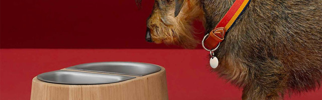 Hermes činija za pse fešoniste