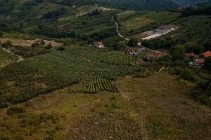 Од сутра поново конкурс за куповину кућа на селу – који су услови и ко може до додатних 10.000 евра