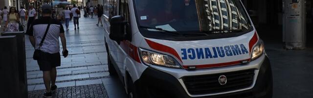 Pas ujeo dete (5) na plaži Lido