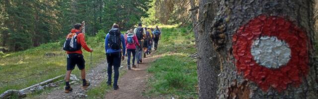 Šest sati avanture: Planinari organizuju noćno pešačenje, a evo šta posetioci mogu da očekuju