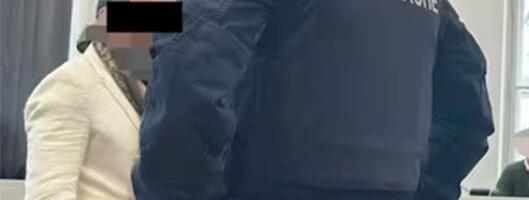 "UDARAJTE JAČE MOTKAMA, IZVADITE NOŽ, JOŠ JE ŽIV" 2 srpske porodice zaratile u Austriji, tukli se motkama, pa usledila krvava osveta, osuđeno njih četvoro!