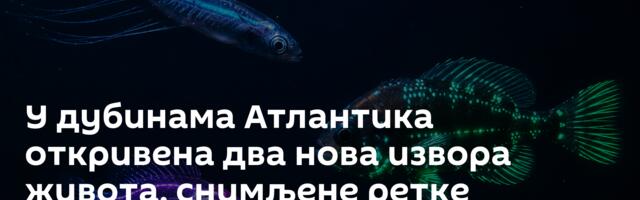 У дубинама Атлантика откривена два нова извора живота, снимљене ретке животиње /видео/