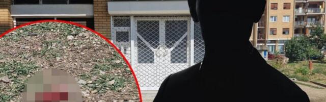 DARKO BI IZBEGAO SMRT DA JE URADIO OVO! Mladića iz Niša ubio dugogodišnji drugar hicima iz "ženskog" pištolja!