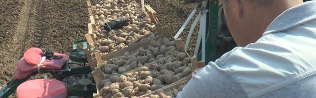 Izdvojeno 14 miliona dinara, ova grupa ljudi ima pravo na novac: Ovo je novi konkurs za poljoprivrednike