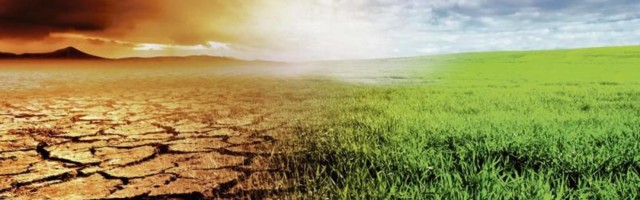 ZASADI DRVO! KLIMATSKE PROMENE: Ujedinjeni za spas planete!