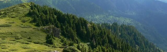 Planinarski klub “Železničar” organizuje odlazak na Staru planinu