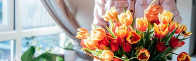 Cvećari kriju ovaj trik: Lale će vam trajati čak 10 dana u vazi (VIDEO)