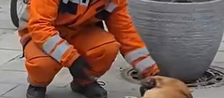 O radniku gradske čistoće iz Novog Pazara priča cela Srbija: "Tu se vidi ko je čovek", o njegovom gestu se bruji